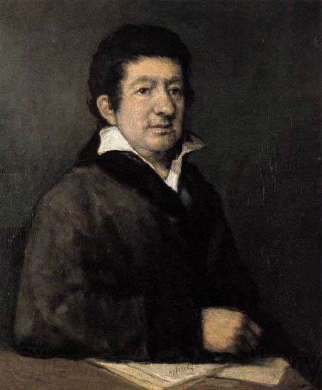 Francisco de goya y Lucientes Portrait of the Poet Germany oil painting art